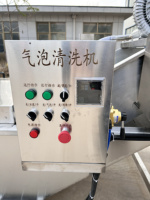 Industriële Automatische Transportband Luchtbel Fruit Wassen En Schoonmaken Machine Blad Ozon Druk Bubble Wasmachine Reiniger