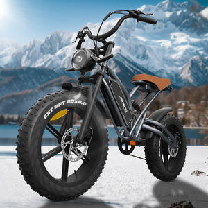 Vélo électrique entrepôt UE 1 place Jansno X50 Fatbike 20*4 pouces Vélo électrique de montagne tout-terrain Vélo électrique Vélo électrique - Product Image 3
