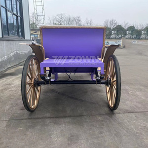 Charrette de balade électrique de style princesse pour événements romantiques et parcs à thème - Product Image 4
