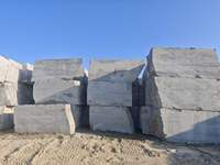 Bloc de granit blanc moderne Shandong Viscon, coupé à la machine, solution écologique complète, support technique en ligne, Villa Park