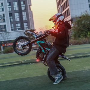 Motocicleta Eléctrica <span class=keywords><strong>de</strong></span> Competición Sur Ron Hype Bee 2025, 5000W, Batería <span class=keywords><strong>de</strong></span> Litio, Vehículo Todoterreno Juvenil, Cuadro <span class=keywords><strong>de</strong></span> Acero, Motocross - Product Image 6