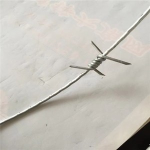 Alambre de púas antiescalada, Malla de alambre de acero galvanizado, Cuerda de alambre de púas, Valla de alambre de púas para exteriores, Cuerda de púas antiescalada - Product Image 2