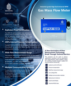 Xinnovis工場製 防爆型高精度ガス質量流量計（N2、H2、O2、空気、CO2、He、Ar、CH4対応）RS485、4-20mA、LCDディスプレイ、OEM対応 - Product Image 5