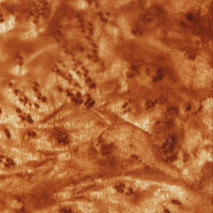 Best Quality Wooden <strong>Pattern</strong> Hydro <strong>Dipping</strong> Film Water Transfer Printing Film <strong>Hydrographic</strong> Film for Auto Parts - Product Image 3