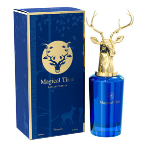 Divers parfums 100ml pour hommes parfums en spray pour le corps déodorants logo du client Utilisation quotidienne acceptable - Product Image 3