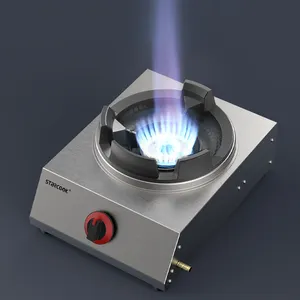 Gas Stove Ce CE Certificate Cast Iron Burner Stainless Steel Gas Stove Gas Cooking Stove With Wind Plate