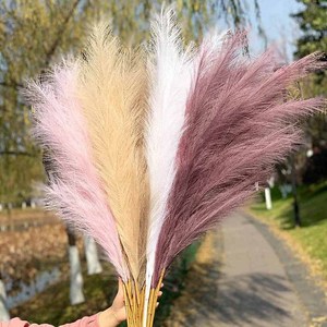 D150 Bulk Boho Flower Arrangement Home Wedding Decor 92cm Faux Pampas Grass 9 Stems Large Pompass Grass <strong>Branches</strong> Tall - Product Image 4