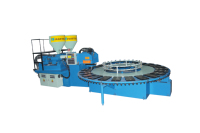 Nouvelle machine automatique de fabrication de semelles de chaussures en PVC TPR WINSTEEL à double densité et deux couleurs
