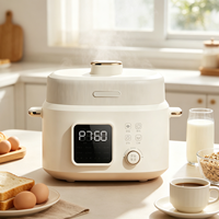Cuisinière à pression électrique intelligente numérique multifonctionnelle 5L avec revêtement antiadhésif, cuve intérieure pour cuire le riz