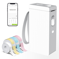 Machine à étiquettes sans fil Nelko P22 pour mini-imprimante 203dpi, idéale pour l'école, le bureau et la maison, batterie 1200mAh, garantie 1 an