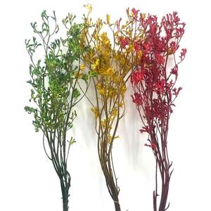 Flor preservada <span class=keywords><strong>de</strong></span> Yunnan, follaje eterno, <span class=keywords><strong>pata</strong></span> <span class=keywords><strong>de</strong></span> <span class=keywords><strong>canguro</strong></span>, plantas preservadas, Anigozanthos para arreglo floral - Product Image 2