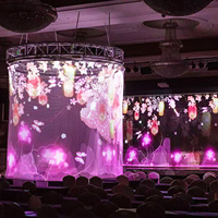 Expositions ultra minces de performances d'étape d'effets visuels de la maille 3D de projection d'hologramme de haut transparent