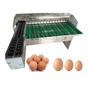 Haute Vitesse Oeuf Taille Tri Machine/Oeuf Emballage et Machine de Classement/Oeuf Trieuse - Product Image 6