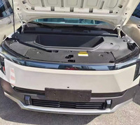 Solution de rangement pour coffre avant, boîte organisatrice en plastique ABS pour DONGFENG NAMMI 06 NAMMI VIGO, installation facile pour maximiser l'espace du coffre avant
