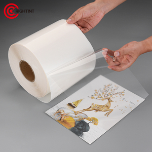 Miễn phí mẫu tự dính phun rõ ràng 50mic trong suốt Vinyl Pet phim Sticker giấy với UV dính - Product Image 4