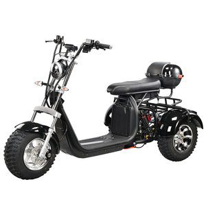 Triciclo EHoodax 05WQ con Logotipo Personalizado OEM ODM Disponible, Neumático Grueso de 18 Pulgadas, Motor Cerrado de 2000W, 30-50 km/h, 30-50 km de Autonomía, Color Negro M - Product Image 1