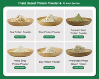 Amulyn Protéines végétales Supplément nutritionnel à base de plantes 80% Poudre de protéines de haricot mungo