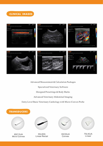 Mesin <span class=keywords><strong>Ultrasound</strong></span> hewan USMILEPET dengan terapi Doppler warna dan layar tampilan untuk penggunaan komersial & Rumah garansi 3 tahun - Product Image 4