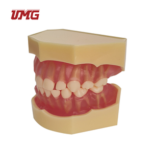20 dientes removibles, goma suave, modelo de dientes de dentición para niños - Product Image 4