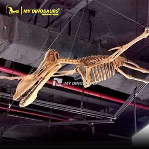 My Dino-<span class=keywords><strong>esqueleto</strong></span> colgante de resina, modelo de <span class=keywords><strong>esqueleto</strong></span> de <span class=keywords><strong>Pteranodon</strong></span>, tamaño real, AA679 - Product Image 6