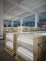 Film PET BOPET extrudé de qualité électronique à épaisseur personnalisée, haute isolation pour condensateur, moteur, transformateur, fabriqué en Chine