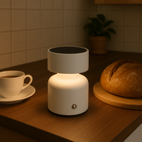 Kanlong Lampe de table solaire rechargeable à 3 niveaux de luminosité avec interrupteur tactile à 8 LED 9*9*14.8cm
