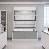 Hotte de laboratoire à conduit intégré en acier avec plan de travail en résine époxy, pour laboratoire de microbiologie hospitalier
