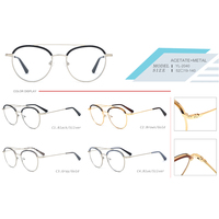 YJI-YL-2040 nouvelle femme mode Logo personnalisé Double pont rond métal mélange acétate stratification lunettes cadres avec pointe Temple