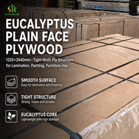 Panneau de contreplaqué de bois dur commercial de 12mm placage d'eucalyptus de noyau de pin de 4x8ft stratifié pour l'artisanat de découpe au laser