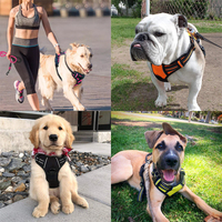 Harnais d'entraînement OKKPETS en promotion, réfléchissant, robuste et réglable, accessoires pour chien, laisse personnalisée, ensemble de harnais anti-traction pour chien