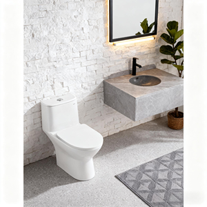 ห้องน้ำเซรามิกสุขาภิบาลแบบสองชิ้นตู้เสื้อผ้าทรงกลมพร้อมช่องระบายน้ำแบบ S-TRAP ติดตั้งที่พื้น <span class=keywords><strong>WC</strong></span> สำหรับห้องน้ำ - Product Image 4