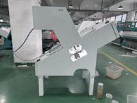 Trieuse chromatique de riz étuvé WENYAO WYCS1-64 pour ligne de traitement du riz en usine de décorticage