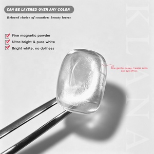 Vernis Gel Magnétique Hema Free Effet Œil de Chat Transparent Paillettes Argentées UV pour Salon et DIY, Gel Effet Œil de Chat Perles de Verre, Logo Personnalisé - Product Image 2