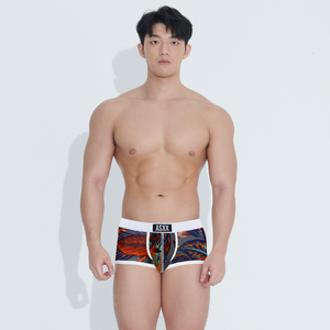 2025 nouveau XXL grande taille Sexy Polyester tricoté tissu hommes Boxer slips taille basse respirant <span class=keywords><strong>sous</strong></span>-vêtements avec Photos personnalisées - Product Image 1