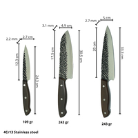 Couteaux de cuisine haut de gamme en acier inoxydable 4Cr13, manche en bois, couteaux de chef, Santoku, utilitaires, 12,3/17,5/20 cm, ambidextres, extra-affûtés