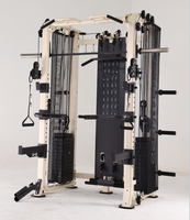 Rack de musculation multifonctionnel professionnel, machine Smith à charges réglables, équipement de gym en acier inoxydable EMFitness