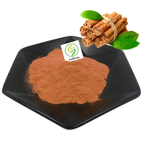 Manufacturer Supply 10%-50% Cinnamon Extract Powder Polyphenols Cinnamon Bark Extract