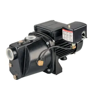 Electric Automatic 110v 60hz Household Booster Water Pump Bi-voltage Jet Pump For North America