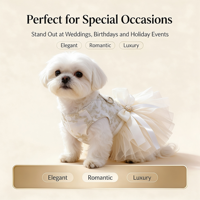 Robe de princesse pour chienne, jupe tutu en dentelle, costume de mariée pour chien, robe de mariage pour chien pour anniversaire