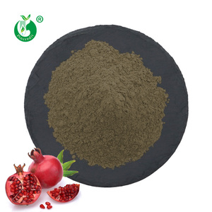 Pincredit Prezzo all'Ingrosso Estratto Puro di Buccia di Melograno in Polvere con 40% di Acido Ellagico - Product Image 1