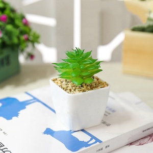 Mini nhựa mọng nước trong nồi nhựa mini mọng nước nhân tạo thực vật - Product Image 4