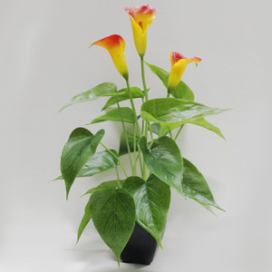 กระถางพืชประดิษฐ์แคลลาเดียมขนาดใหญ่ของขวัญสุดสร้างสรรค์ - Product Image 3