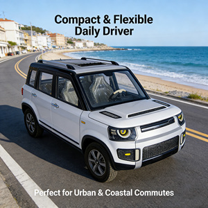 Mini <span class=keywords><strong>SUV</strong></span> à énergie nouvelle, best-seller, à faible vitesse, pour usage domestique - Product Image 6