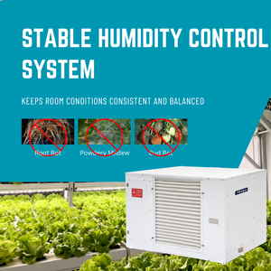 Déshumidificateur Altaqua à conduit, fonctionnement silencieux pour serre, OEM ODM disponible - Product Image 4