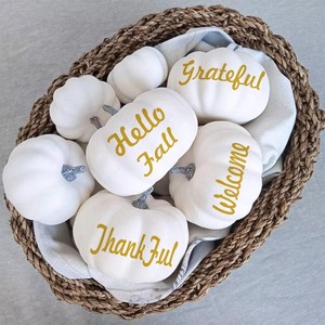 12 pièces de fausses citrouilles en mousse blanche, tailles assorties, style rustique, pour <span class=keywords><strong>Halloween</strong></span>, automne, Thanksgiving, Pâques, remise de diplôme - Product Image 2