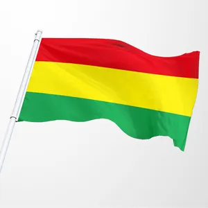 Banderas estampadas de doble cara para decoración de Exteriores, producto promocional, 100% poliéster, bandera boliviana personalizada de Perú