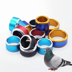 Nuevas Bandas <span class=keywords><strong>de</strong></span> Aluminio Ecológicas para Patas <span class=keywords><strong>de</strong></span> Aves, <span class=keywords><strong>de</strong></span> 4-9 mm, Anillos Metálicos Gruesos Personalizados para <span class=keywords><strong>Palomas</strong></span>, Loros y Agapornis, <span class=keywords><strong>Venta</strong></span> al Por Mayor - Product Image 1