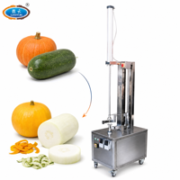 Grote elektrische fruit- en groenteschilmachine voor het schillen van pompoen, wintermeloen en waxgourd.