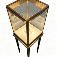 Vitrine de présentation de bijoux haut de gamme en acier avec logo personnalisé, finition laquée, LED, durable, facile à nettoyer, pour mobilier de magasin, vente en gros