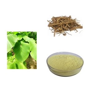 Extracto de Raíz de Kava <span class=keywords><strong>Kavakava</strong></span> al por Mayor, en Polvo, 10% 30%, Grado Alimenticio, con Envases en Botella, Tambor, Lata y Tarro Mason - Product Image 2